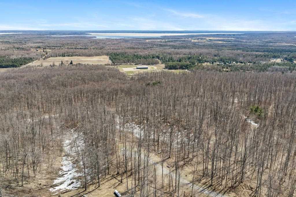 5380 Burt Lake Views Drive Alanson MI 49706