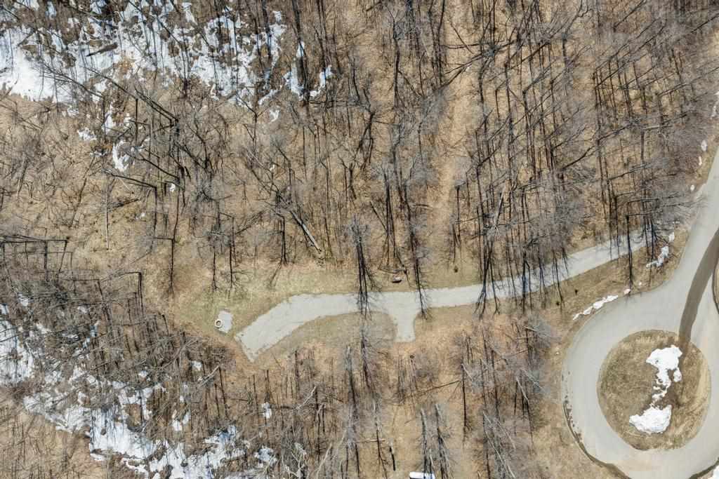 5380 Burt Lake Views Drive Alanson MI 49706