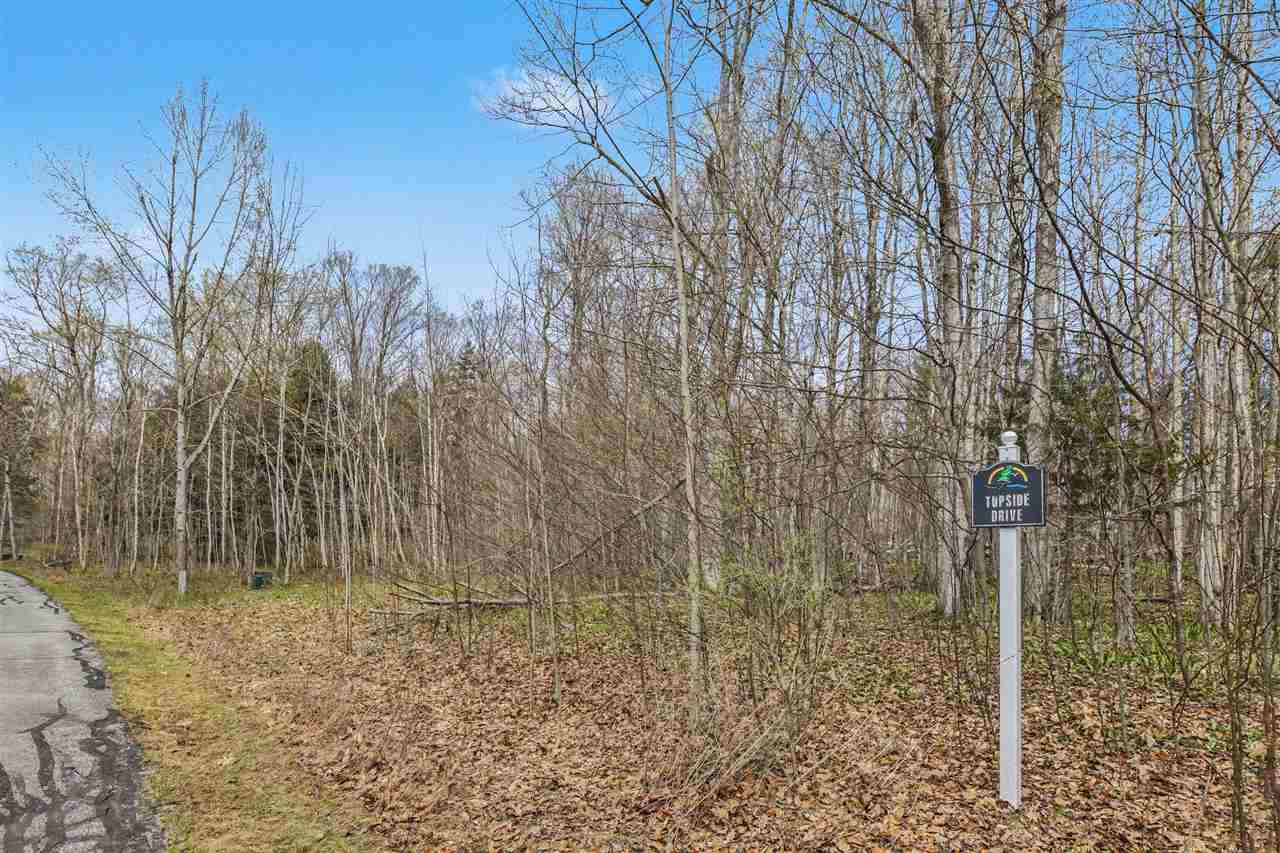 3797 Topside Drive Harbor Springs MI 49740