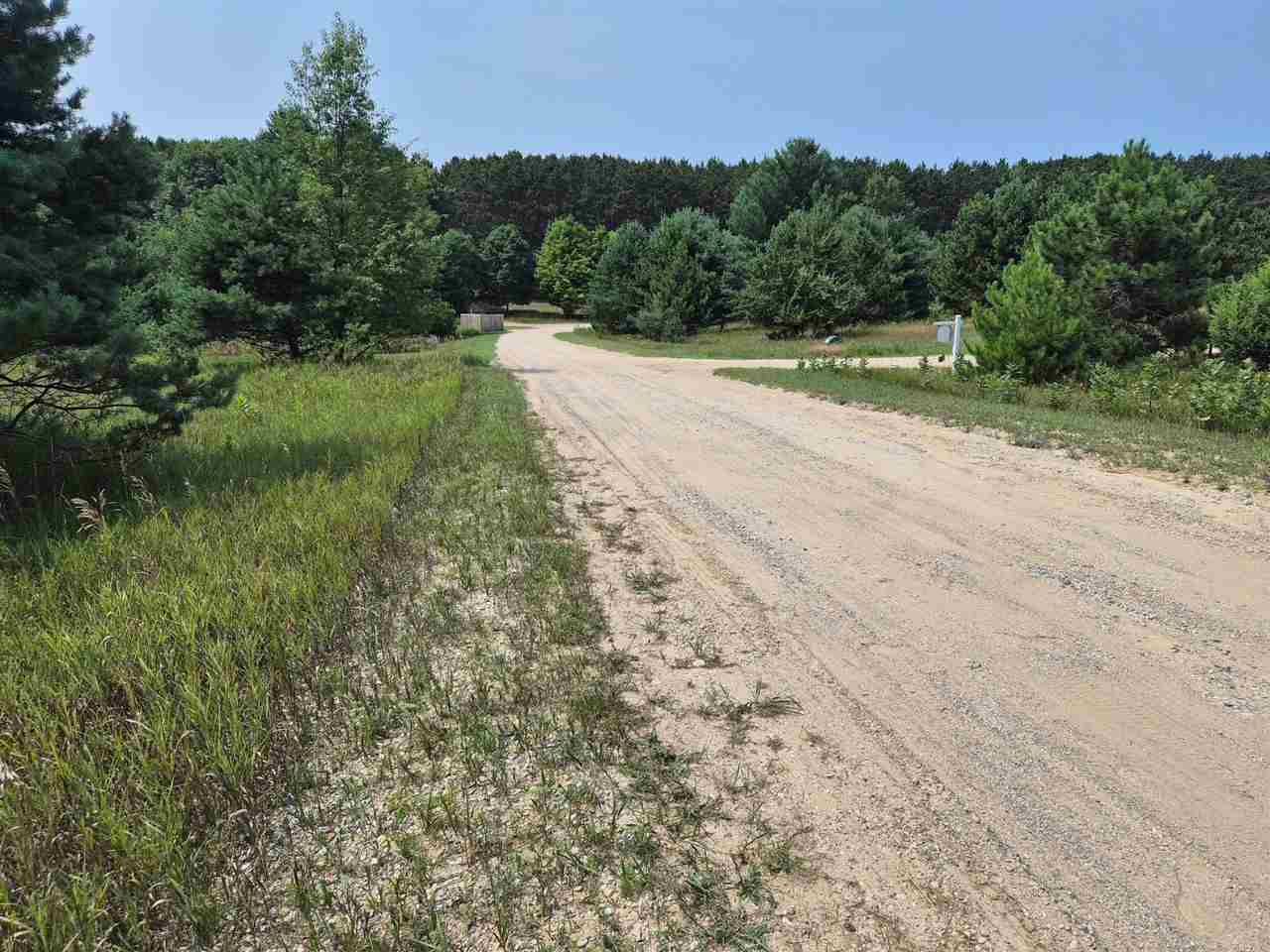 10331 Mapleview Drive Central Lake MI 49622