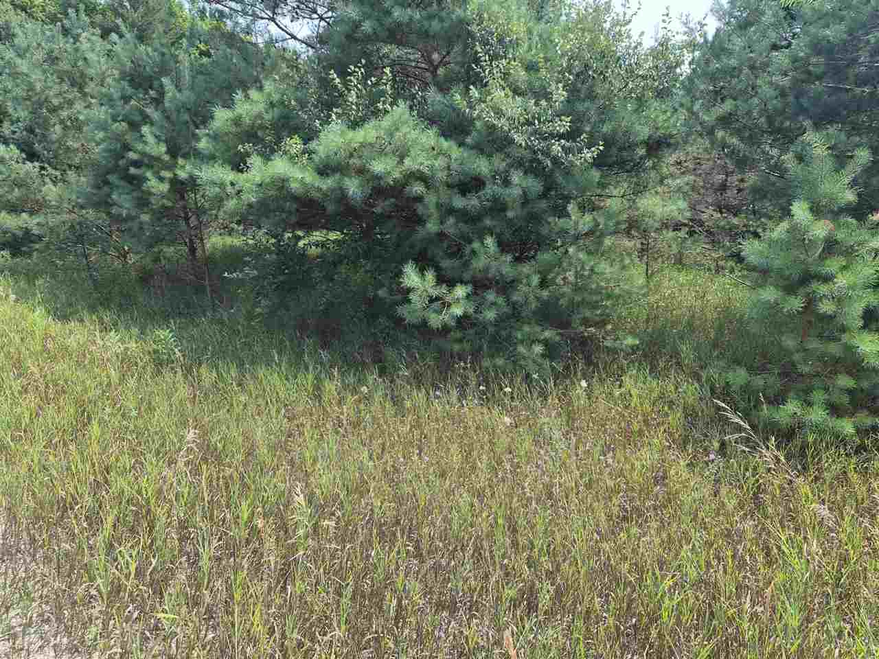 10331 Mapleview Drive Central Lake MI 49622