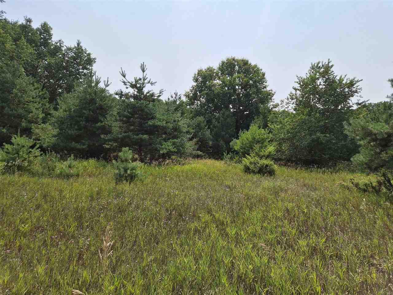 10331 Mapleview Drive Central Lake MI 49622