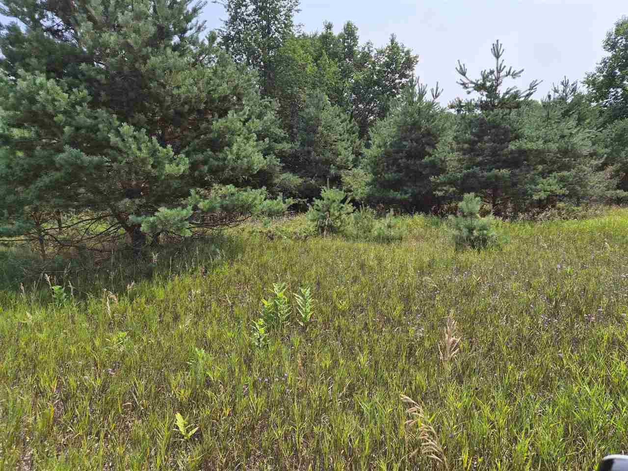10331 Mapleview Drive Central Lake MI 49622