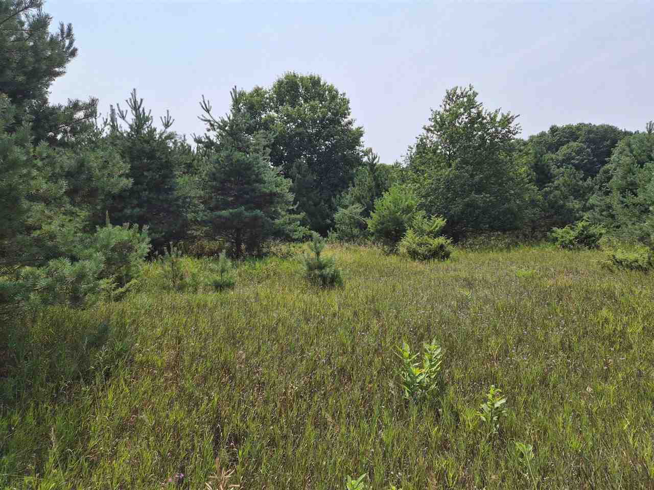 10331 Mapleview Drive Central Lake MI 49622