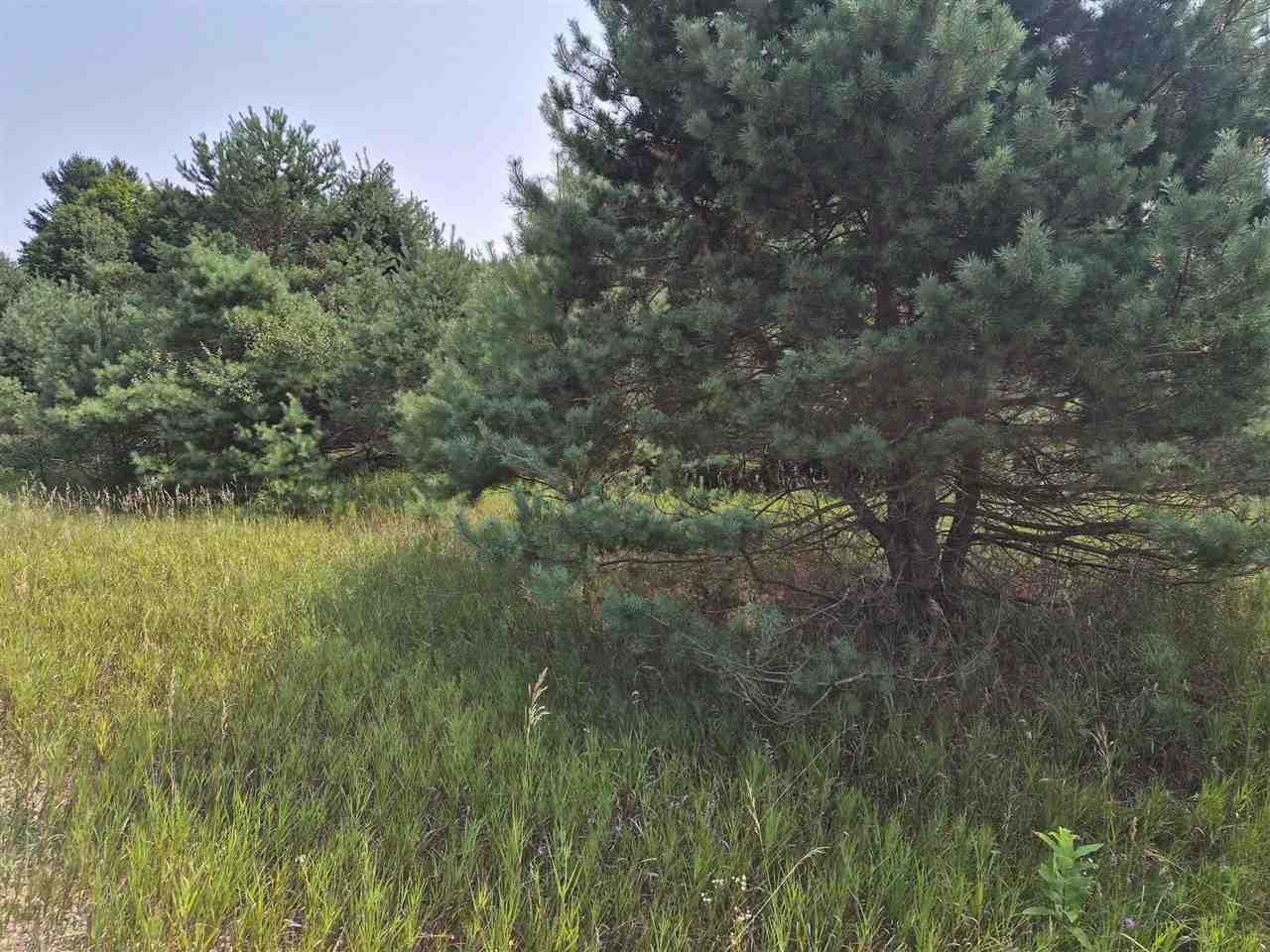 10331 Mapleview Drive Central Lake MI 49622