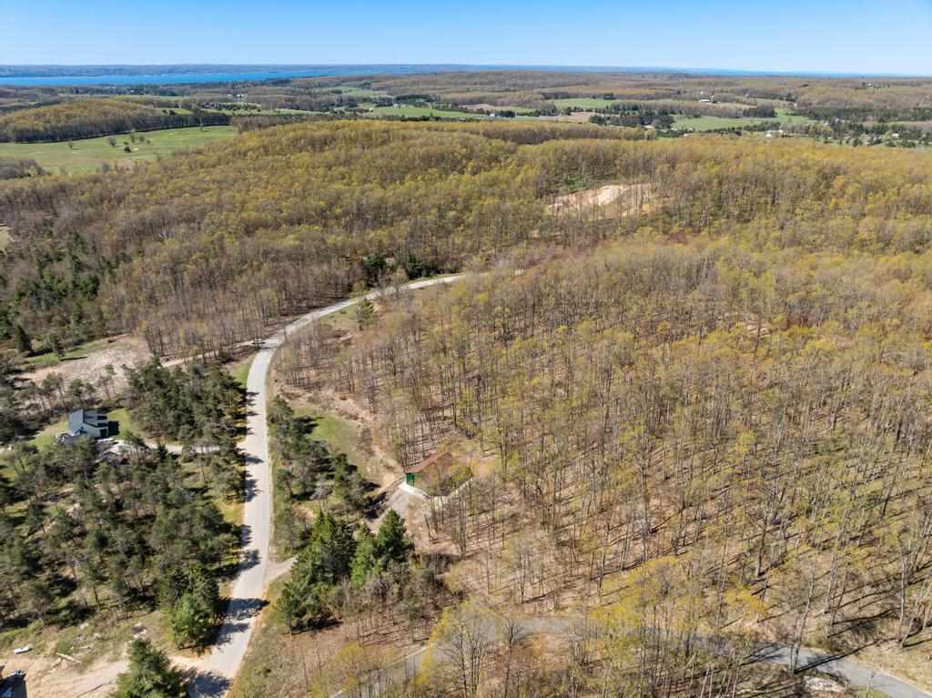 3272 Needles Drive Harbor Springs MI 49740