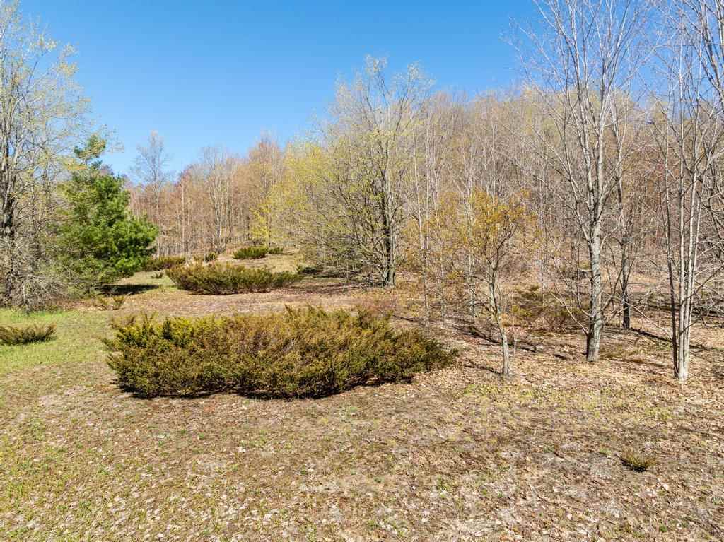 3272 Needles Drive Harbor Springs MI 49740