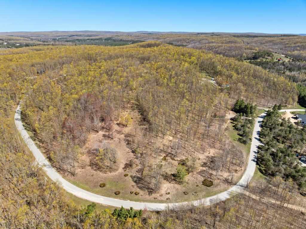 3272 Needles Drive Harbor Springs MI 49740