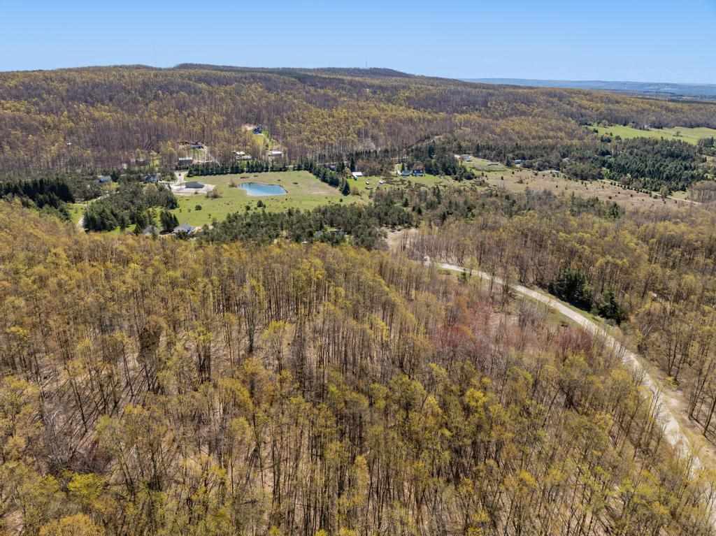 3272 Needles Drive Harbor Springs MI 49740