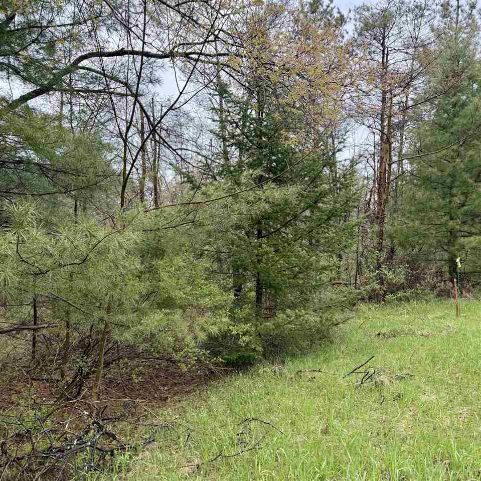 3438 Annie's Way Petoskey MI 49770