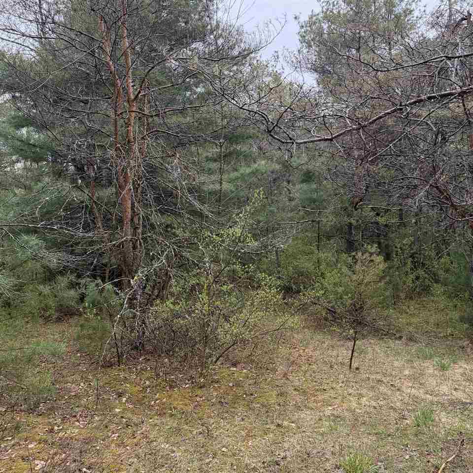 3438 Annie's Way Petoskey MI 49770