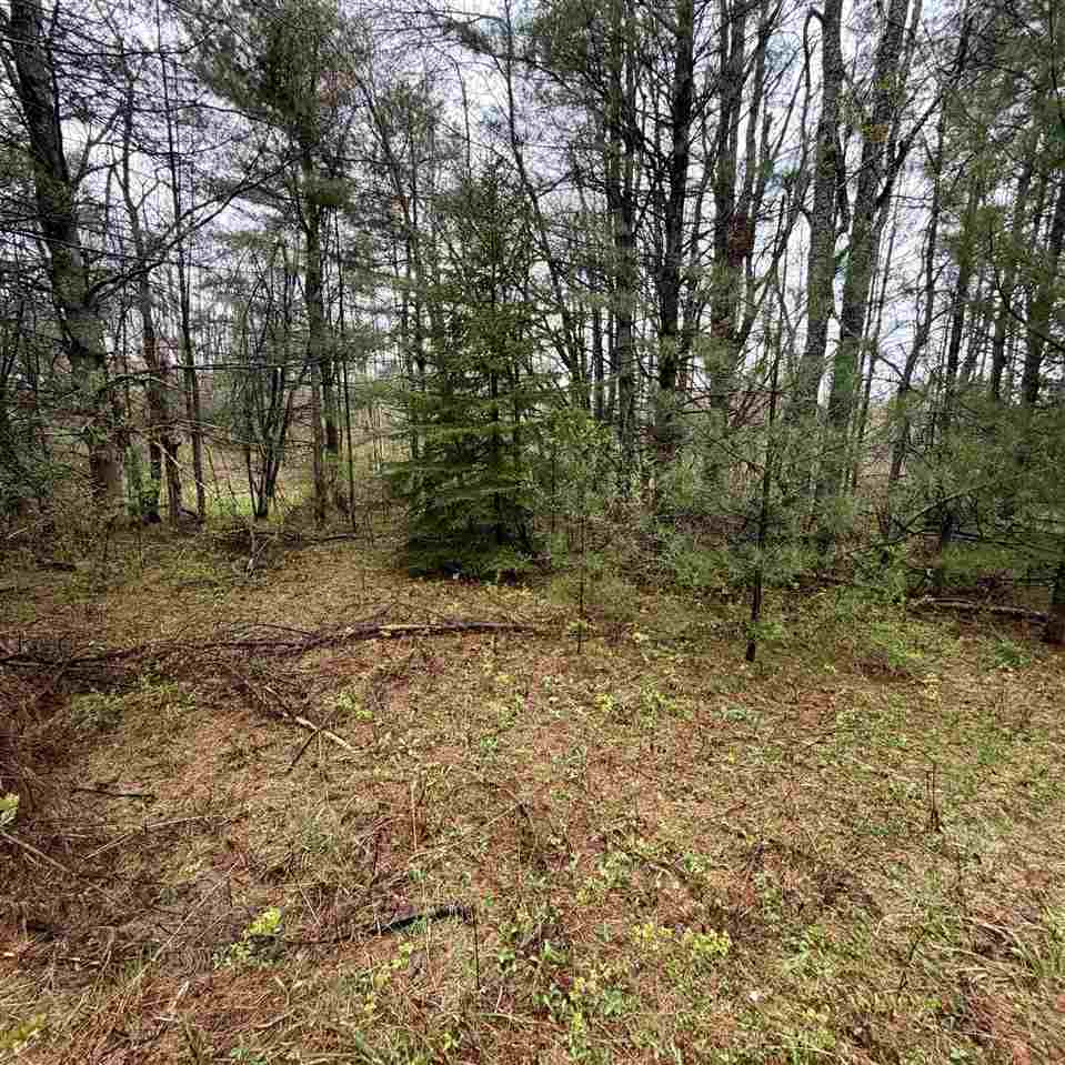3438 Annie's Way Petoskey MI 49770