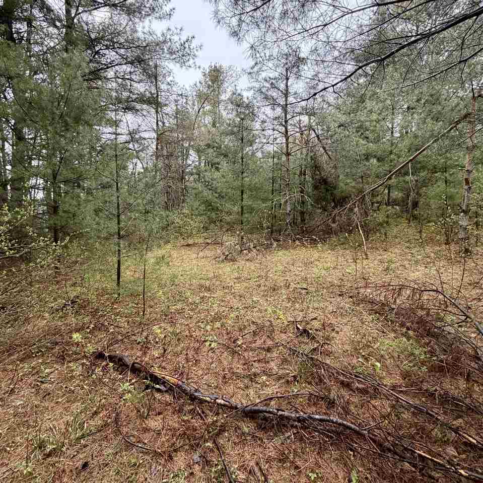 3438 Annie's Way Petoskey MI 49770