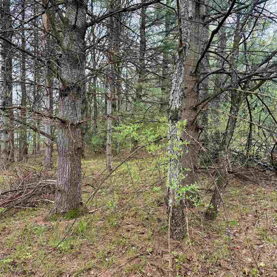 3438 Annie's Way Petoskey MI 49770