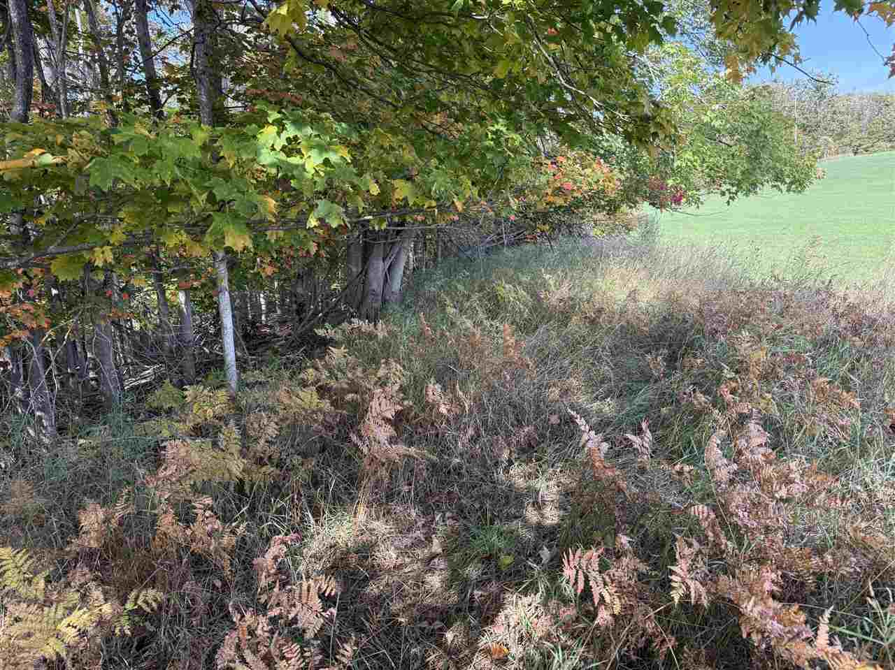 C-1 Spingwood Road Charlevoix MI 49720-0000