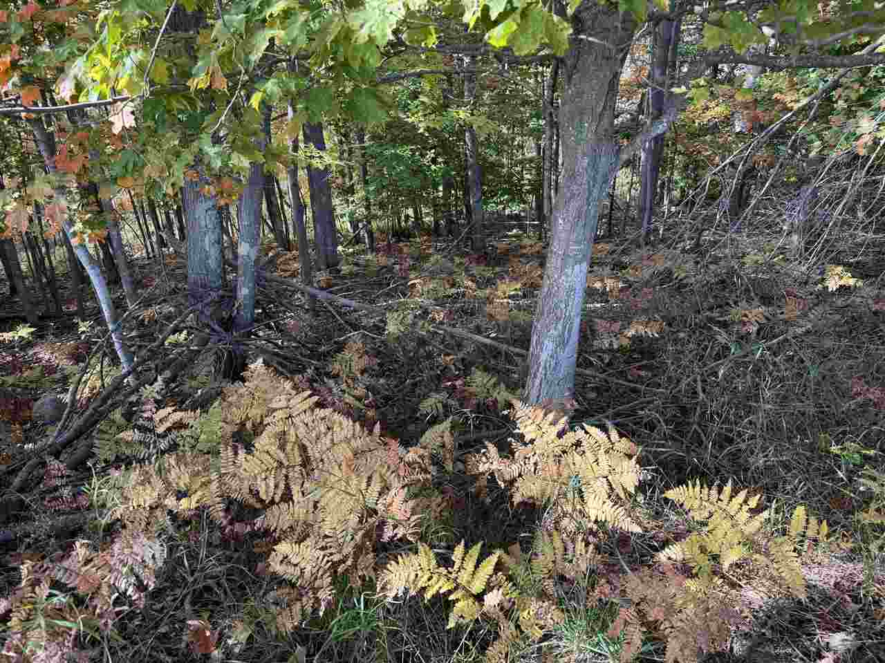 C-1 Spingwood Road Charlevoix MI 49720-0000
