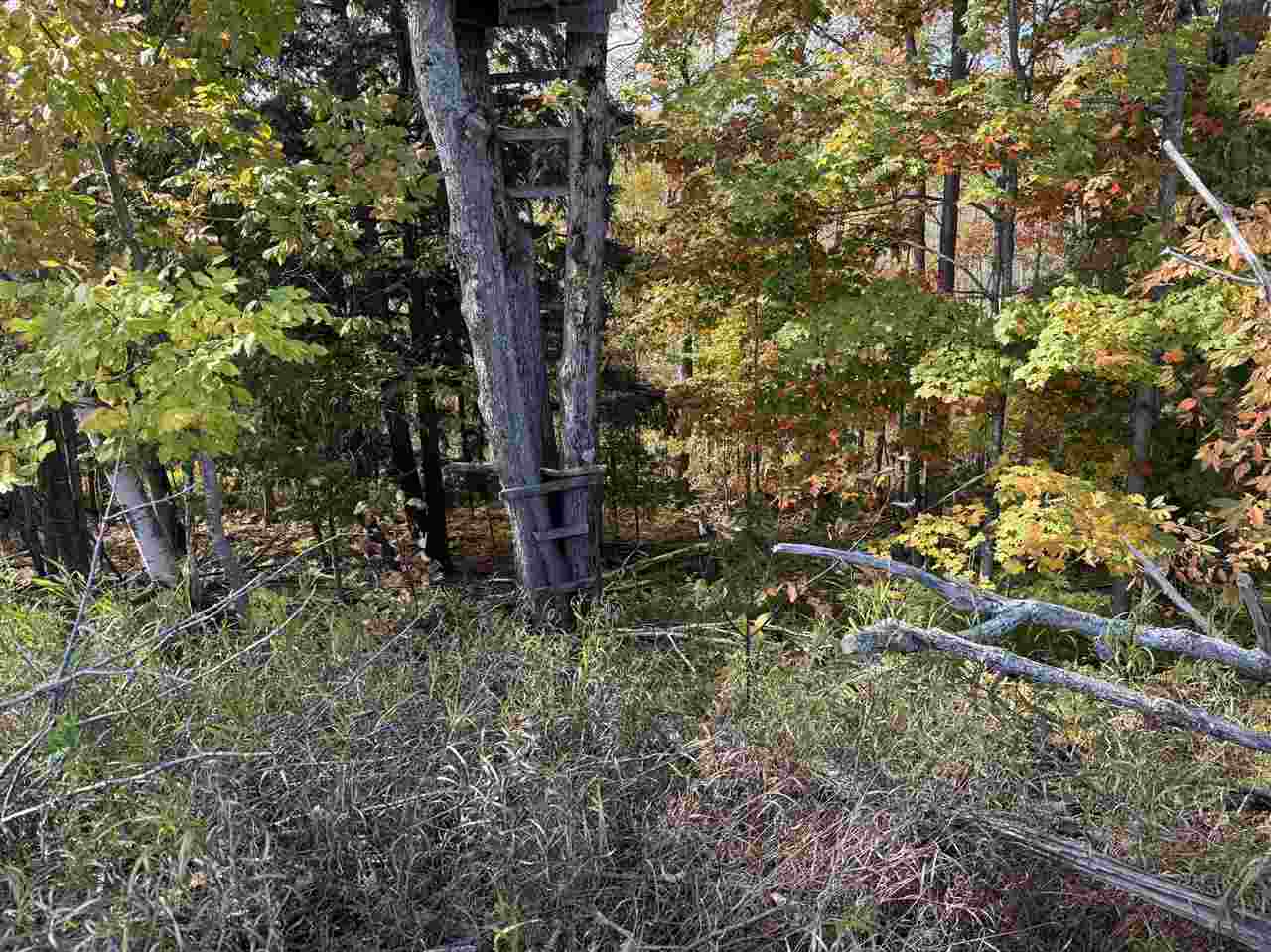 C-1 Spingwood Road Charlevoix MI 49720-0000