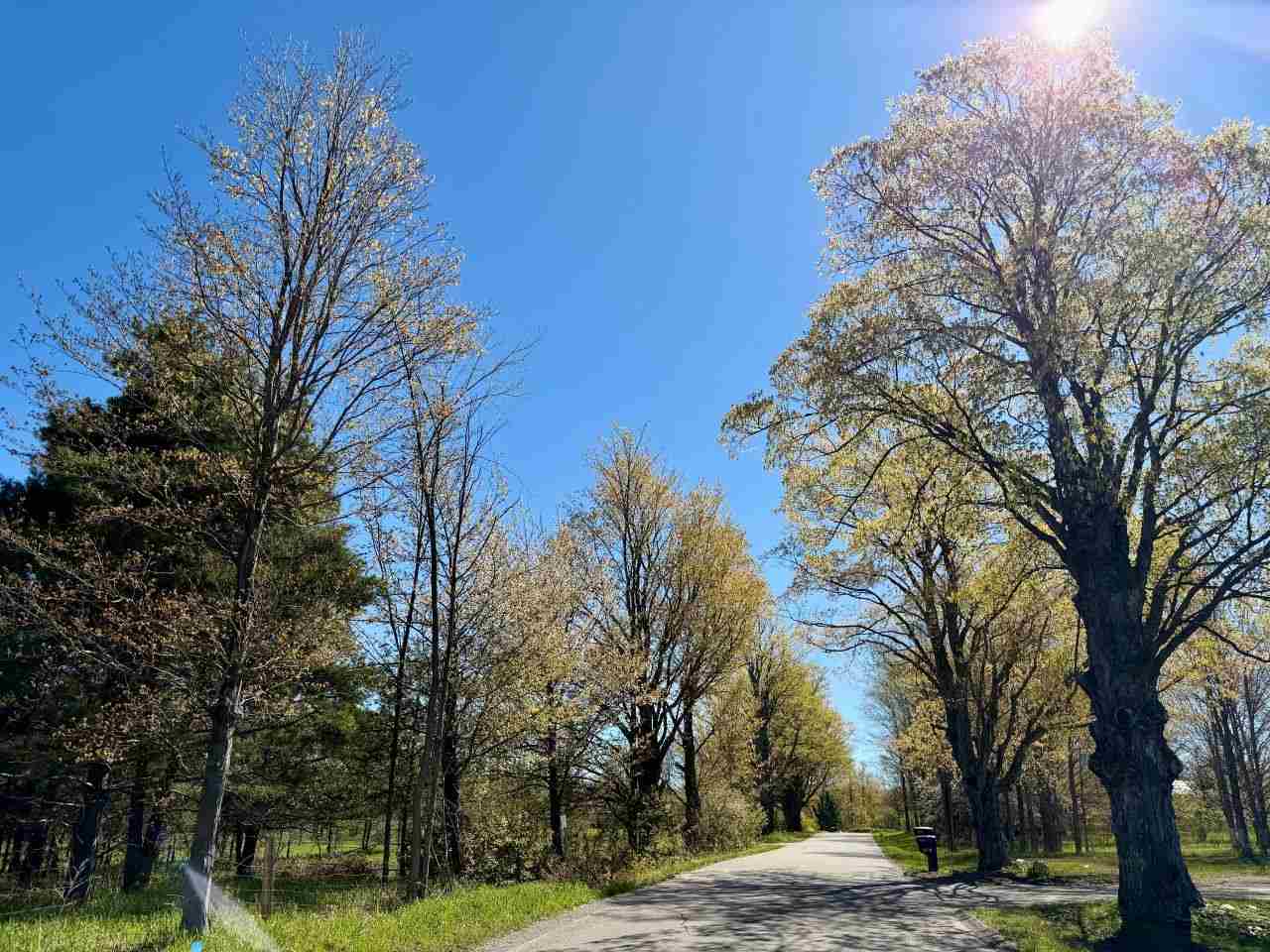 Lot A Boyne View Pass Boyne Falls MI 49713