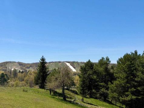 Lot A Boyne View Pass Boyne Falls MI 49713