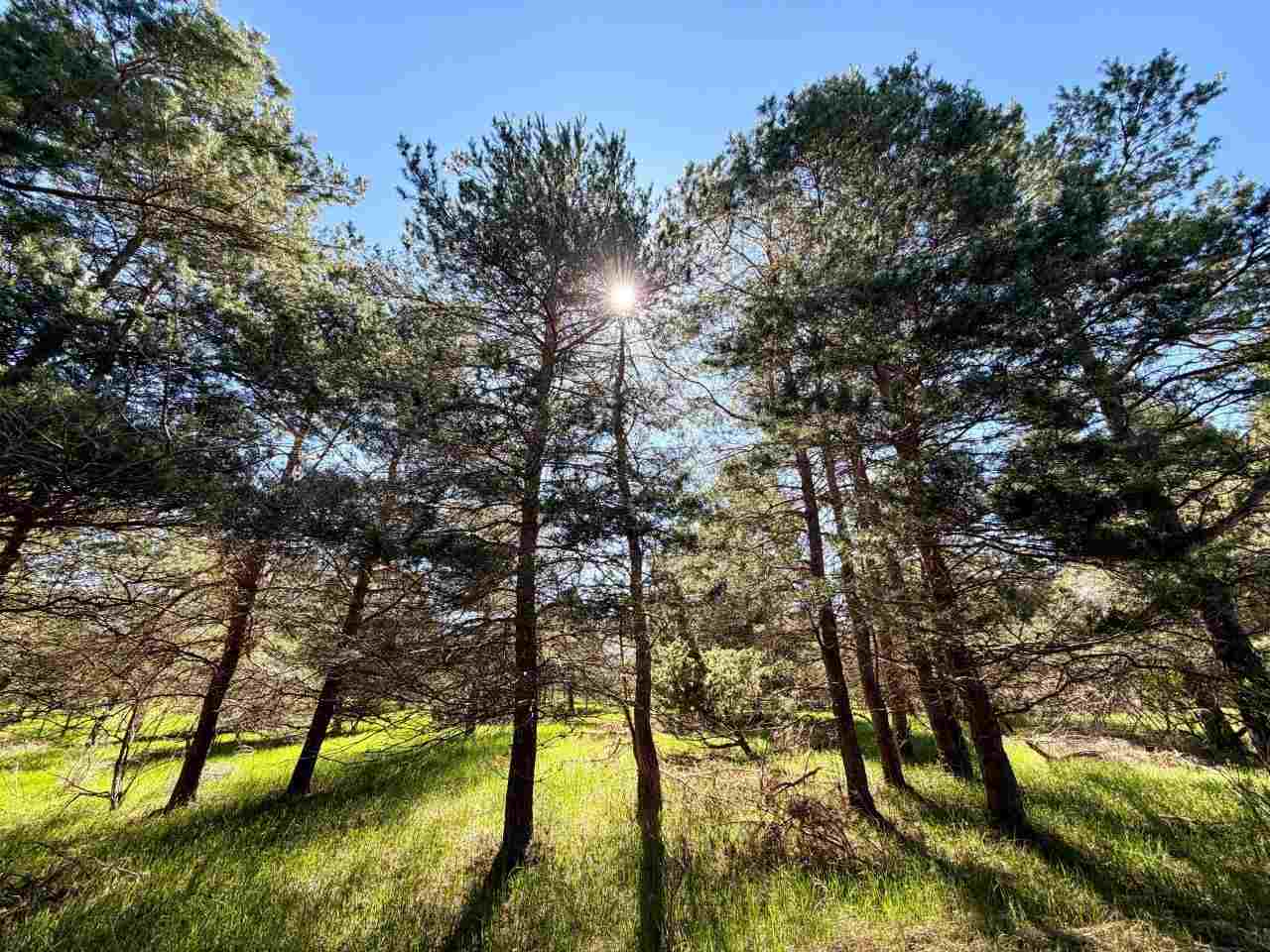 Lot A Boyne View Pass Boyne Falls MI 49713