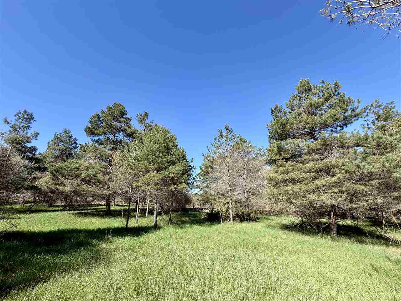 Lot A Boyne View Pass Boyne Falls MI 49713