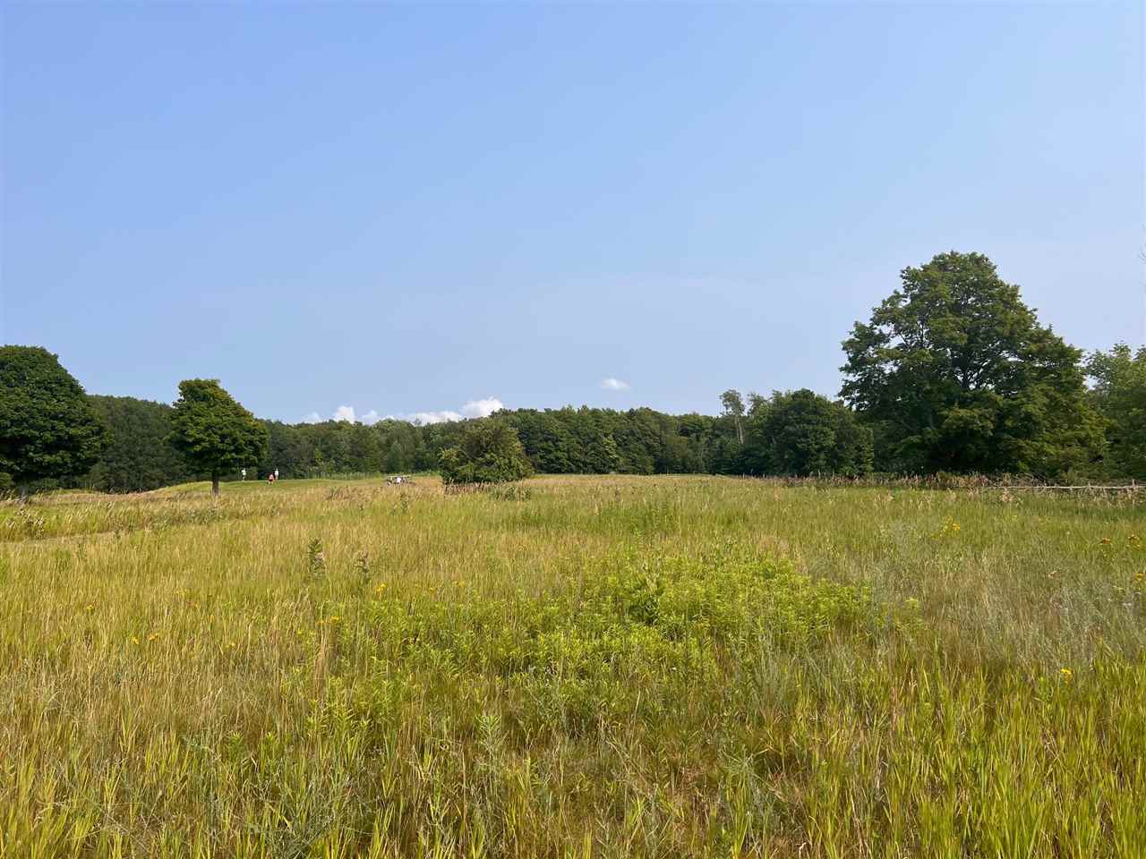 240 Crooked Tree Drive Petoskey MI 49770