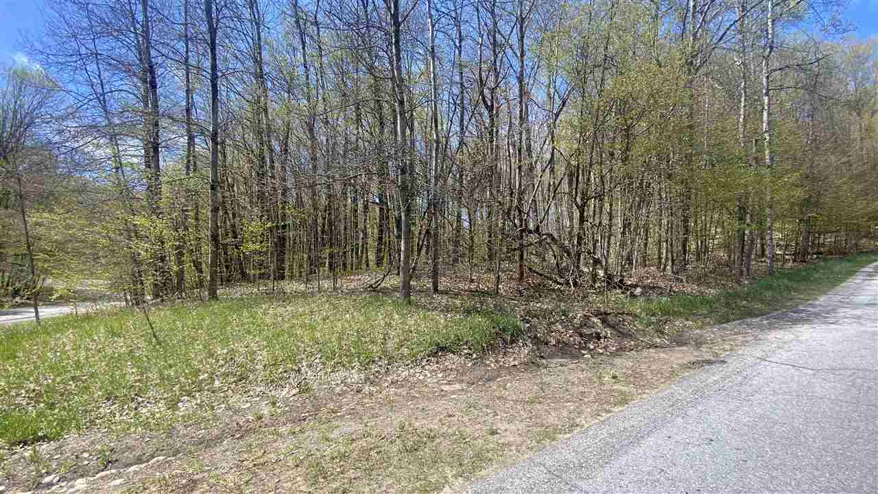 Lot 105-106 East Village Drive Bellaire MI 49615