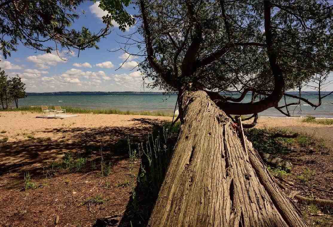 5771 Cook Point Drive Harbor Springs MI 49740