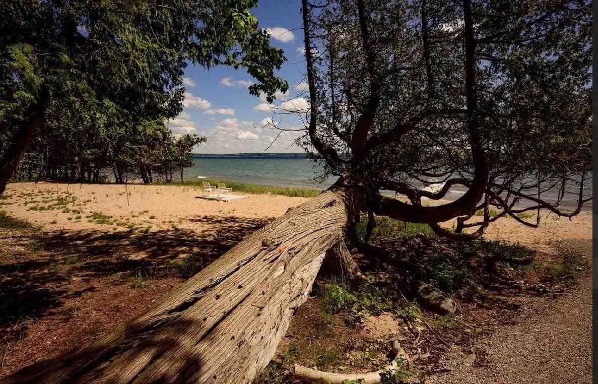 5771 Cook Point Drive Harbor Springs MI 49740