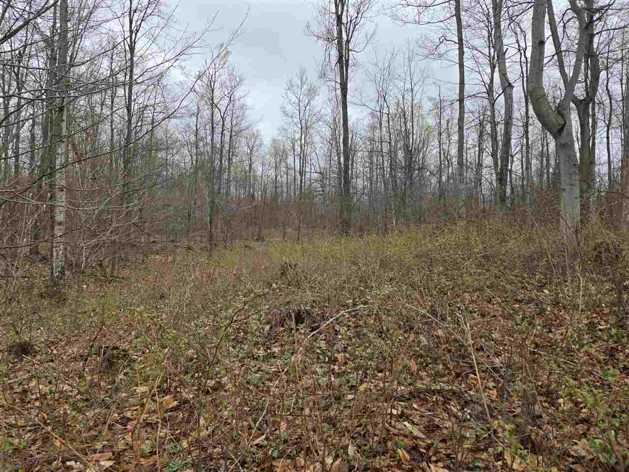 Lot 7&8 High Pines Trail Boyne City MI 49712
