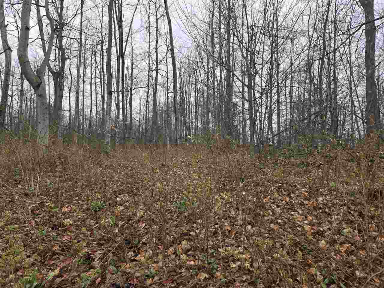 Lot 7&8 High Pines Trail Boyne City MI 49712