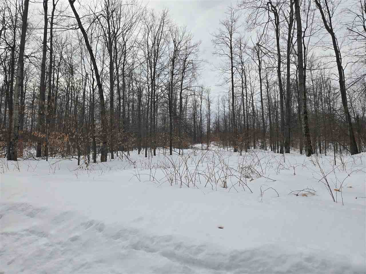 Lot 7&8 High Pines Trail Boyne City MI 49712