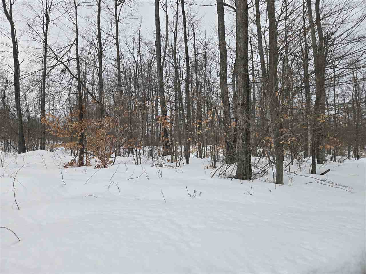 Lot 7&8 High Pines Trail Boyne City MI 49712