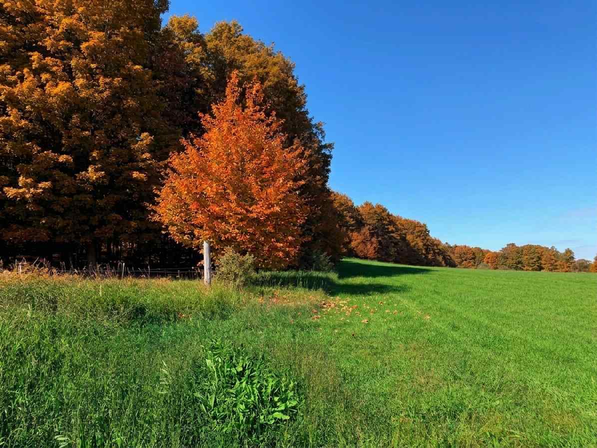 Tbd M-32 Highway East Jordan MI 49727