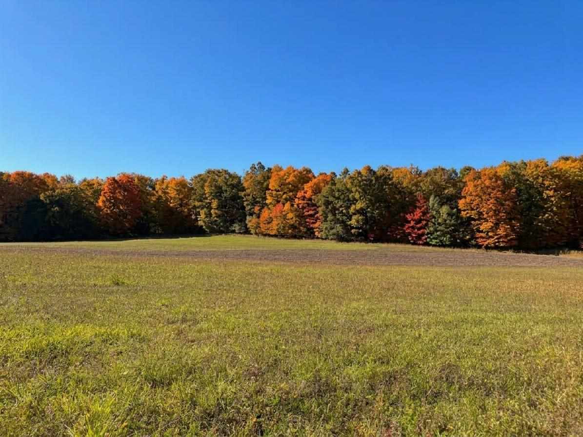 Tbd M-32 Highway East Jordan MI 49727