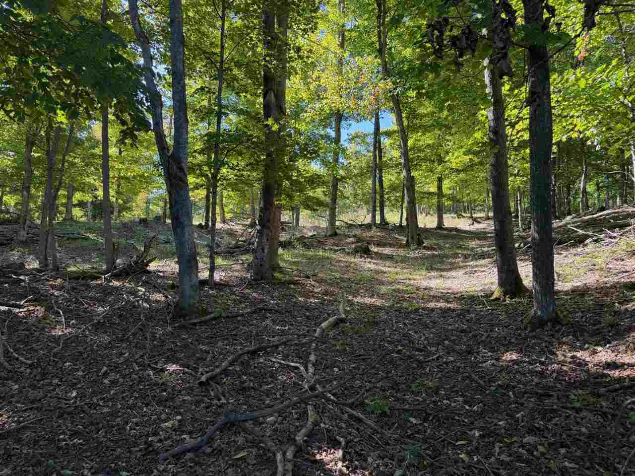 Tbd M-32 Highway East Jordan MI 49727