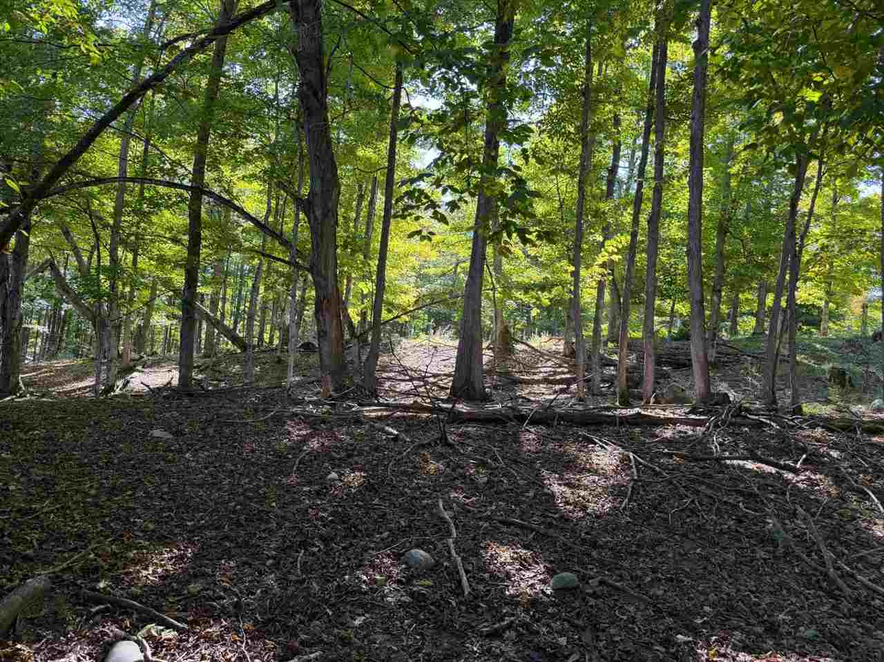 Tbd M-32 Highway East Jordan MI 49727