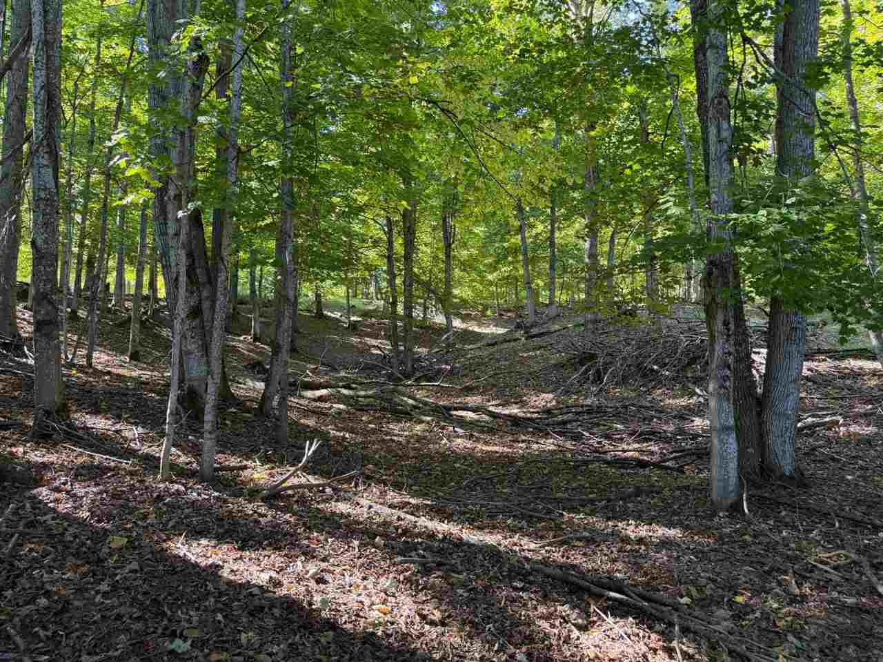 Tbd M-32 Highway East Jordan MI 49727