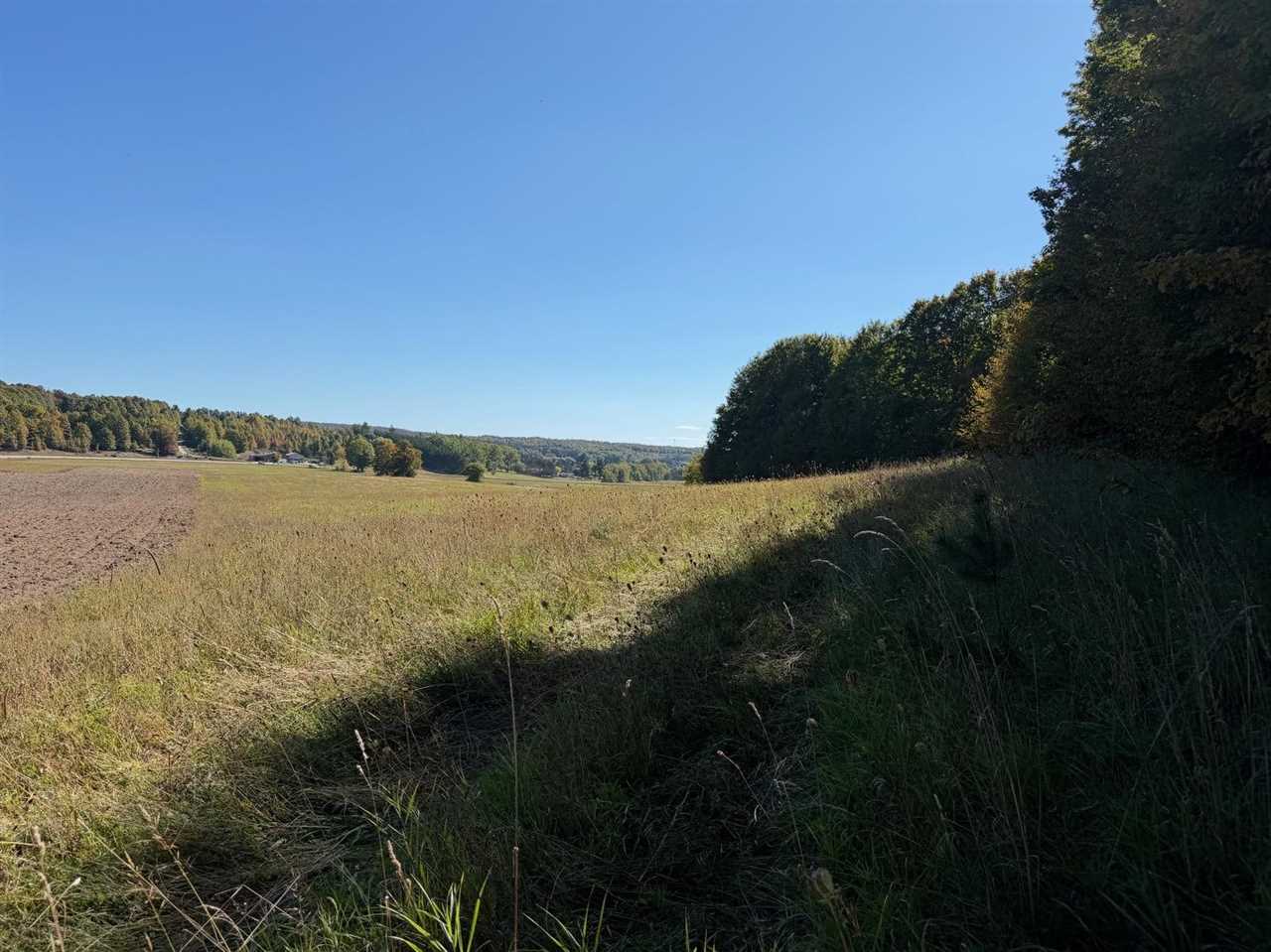 Tbd M-32 Highway East Jordan MI 49727