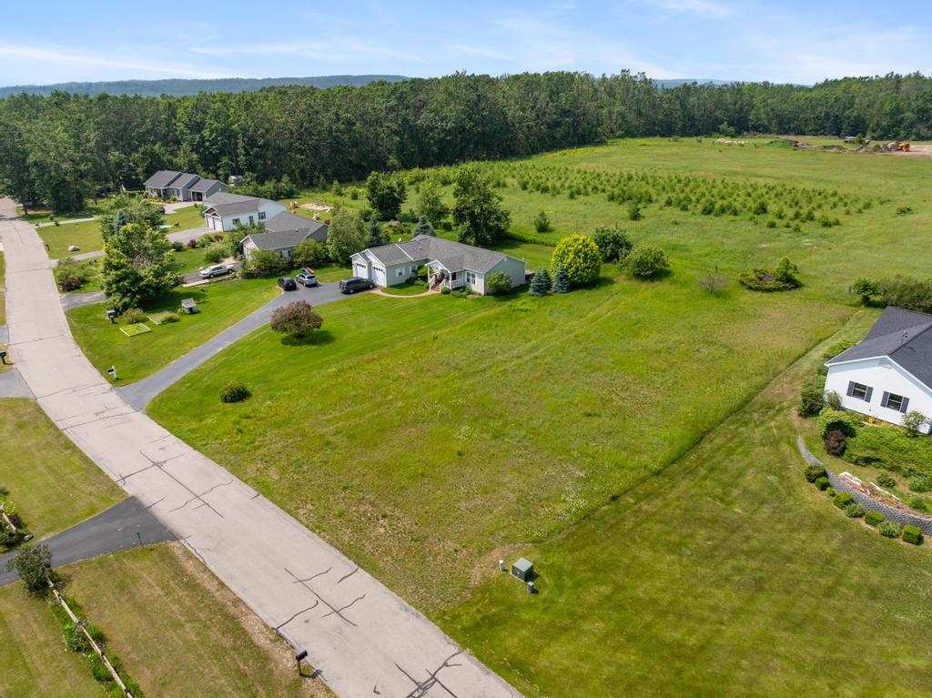 3154 Pete's Run Harbor Springs MI 49740