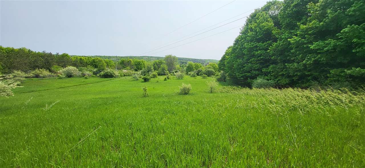 Tbd Veldkamp Lane Central Lake MI 49622