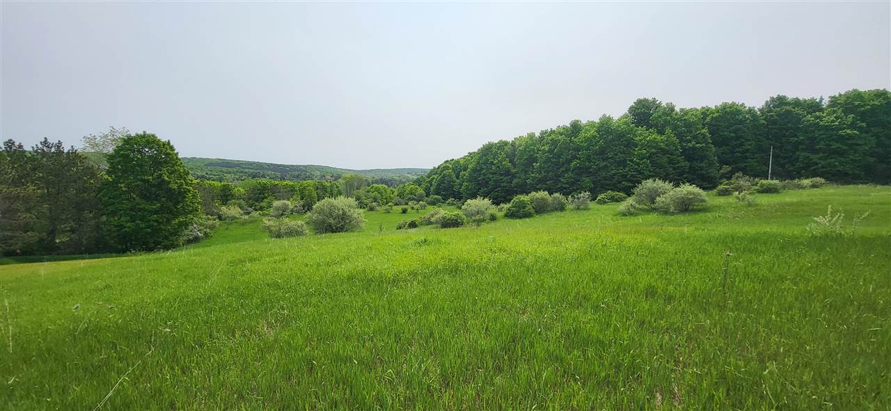 Tbd Veldkamp Lane Central Lake MI 49622