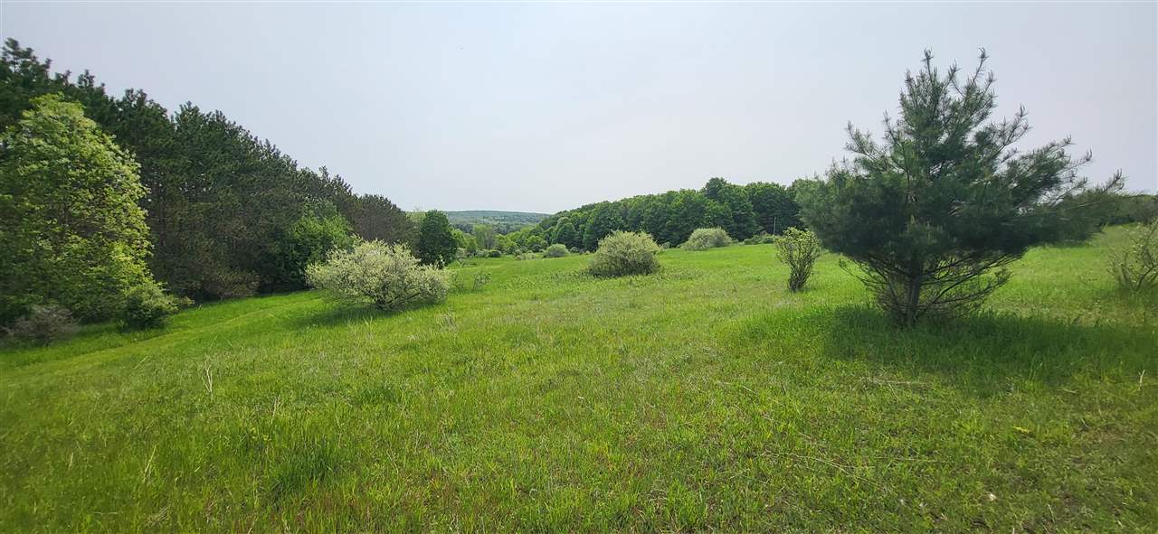 Tbd Veldkamp Lane Central Lake MI 49622