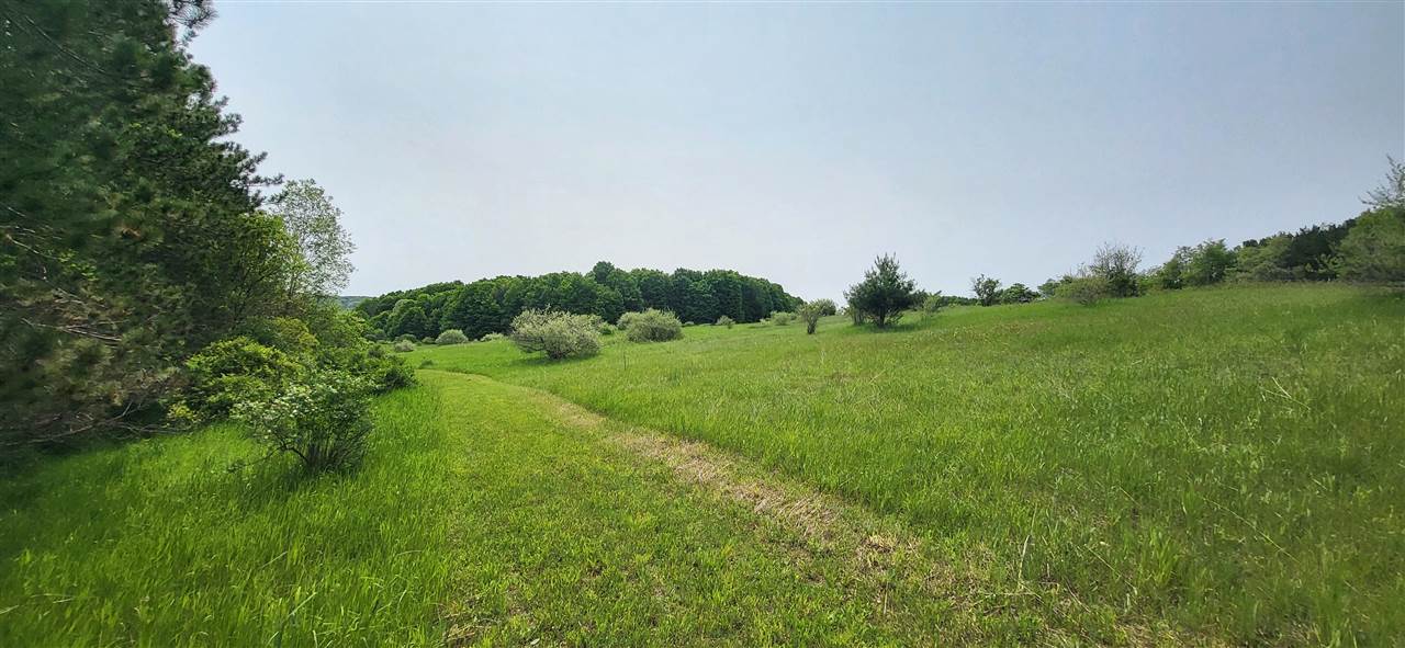 Tbd Veldkamp Lane Central Lake MI 49622