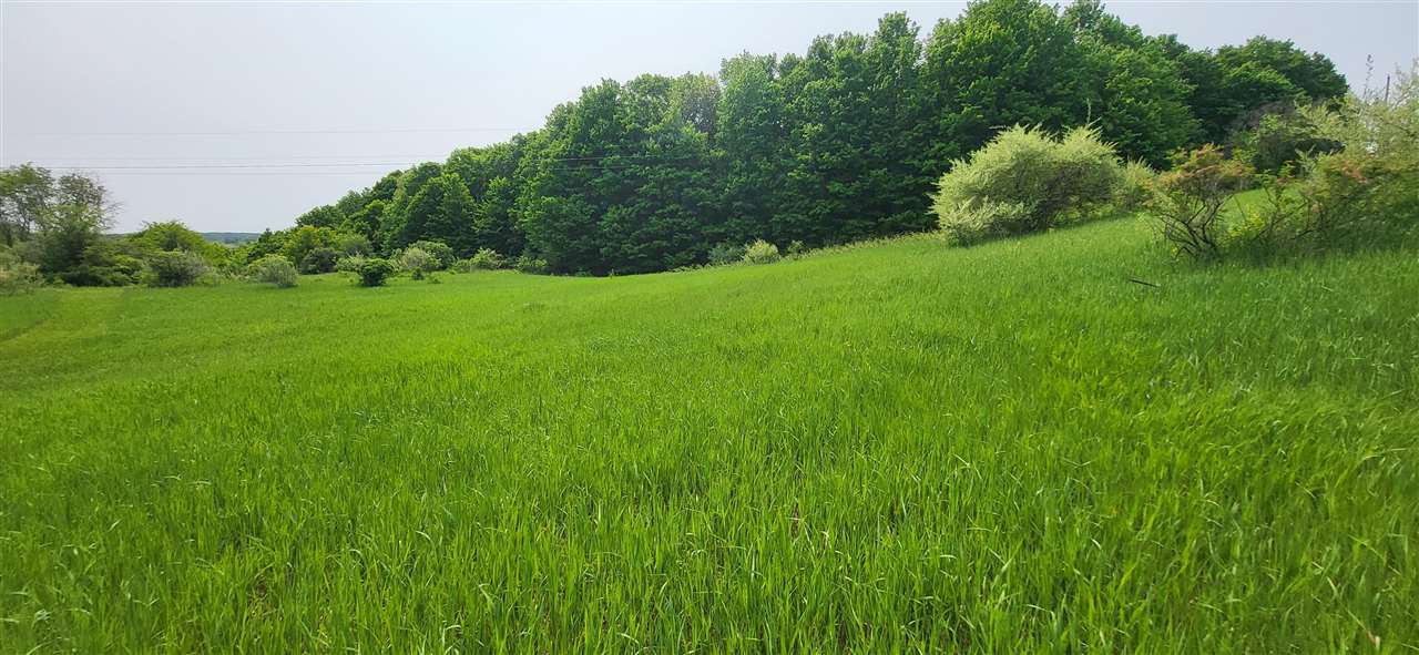 Tbd Veldkamp Lane Central Lake MI 49622