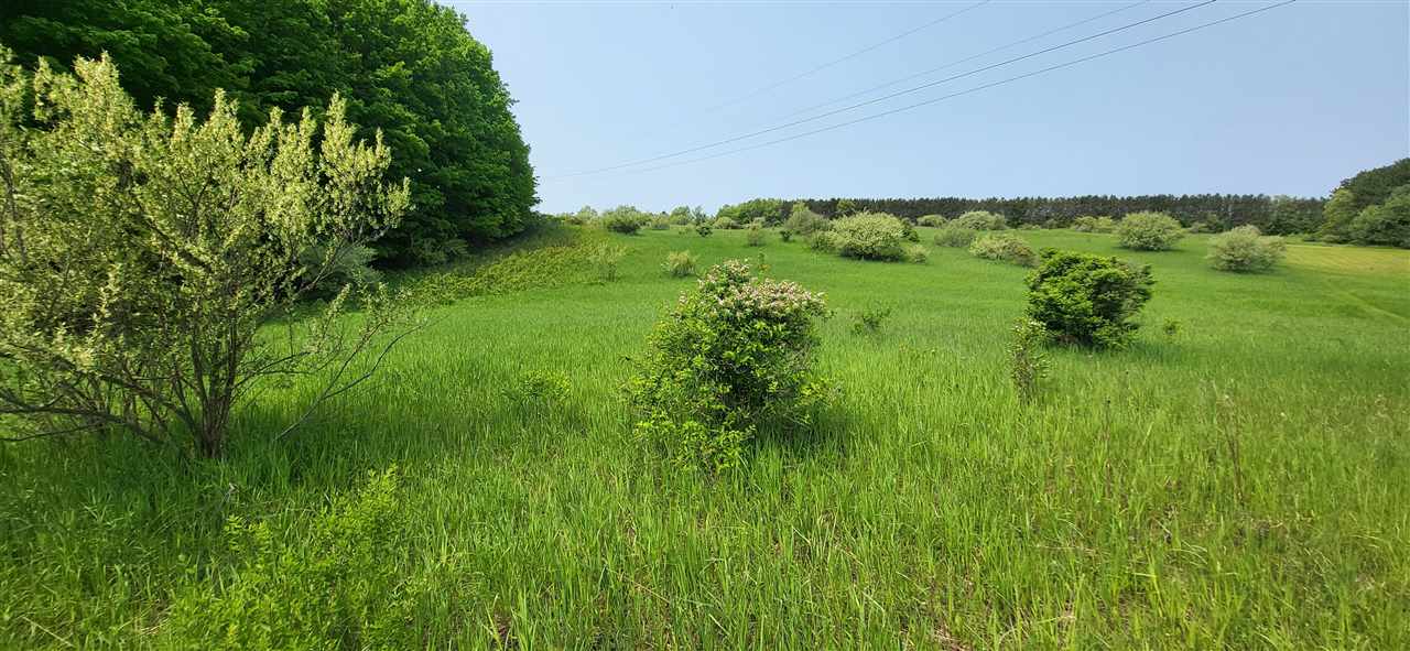 Tbd Veldkamp Lane Central Lake MI 49622