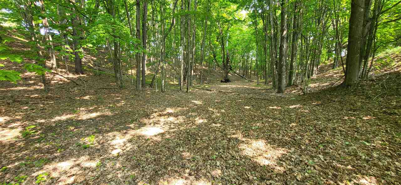 Tbd Veldkamp Lane Central Lake MI 49622