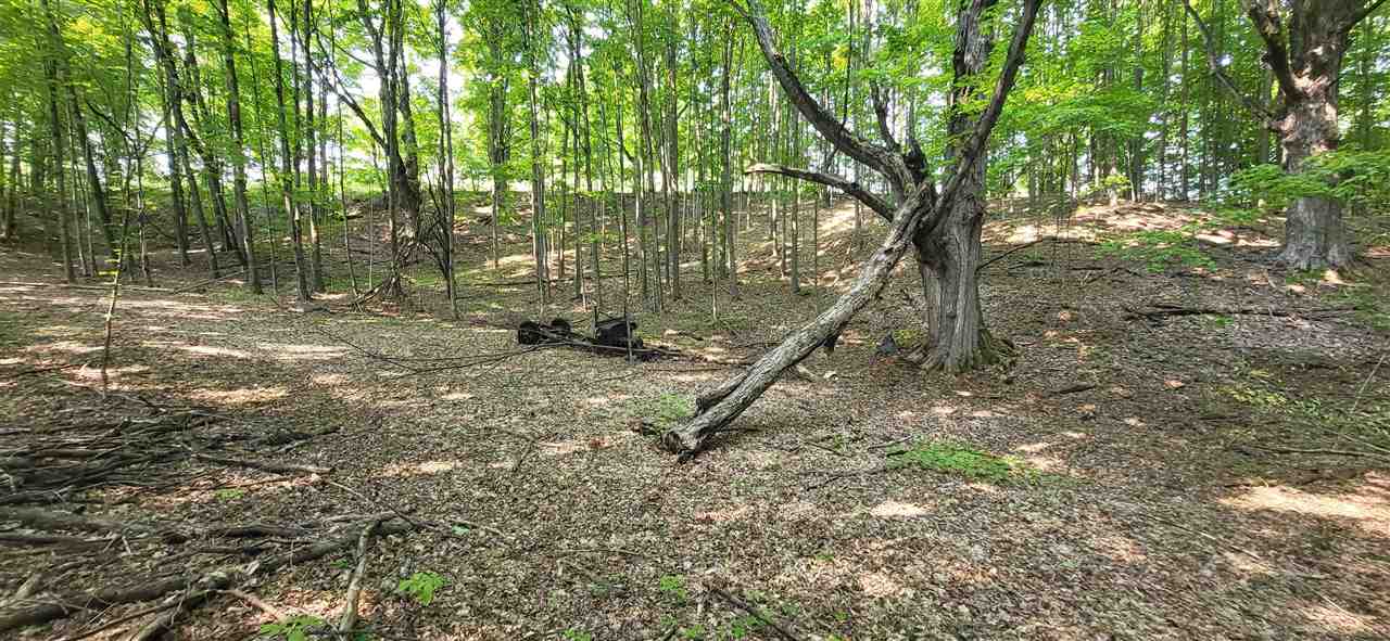 Tbd Veldkamp Lane Central Lake MI 49622