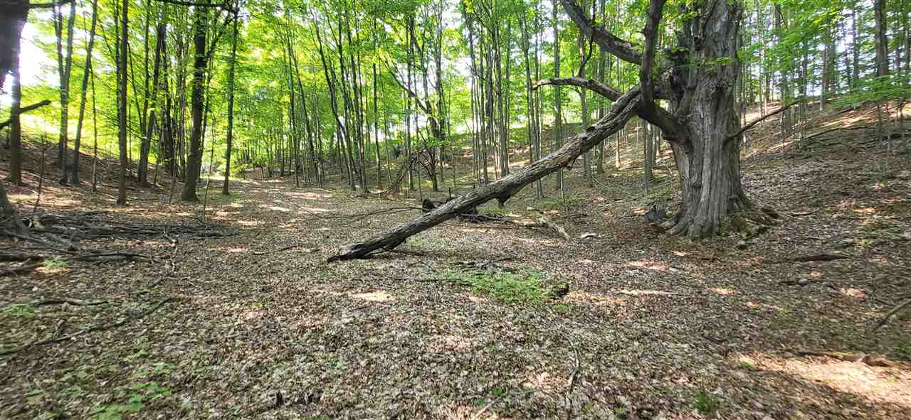 Tbd Veldkamp Lane Central Lake MI 49622