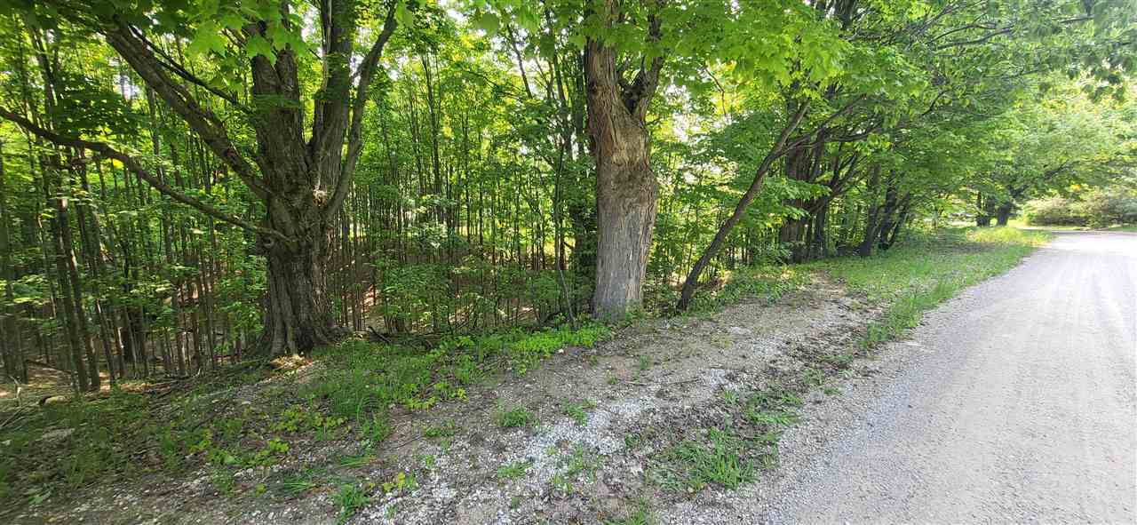 Tbd Veldkamp Lane Central Lake MI 49622